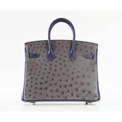 Hermès HSS Birkin 25 Gris Agate and Blue Sapphire Ostrich Brushed Gold Hardware