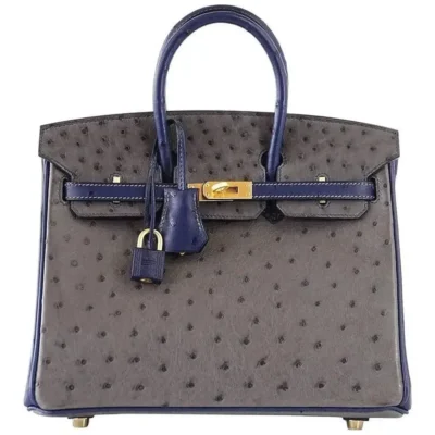 Hermès HSS Birkin 25 Gris Agate and Blue Sapphire Ostrich Brushed Gold Hardware