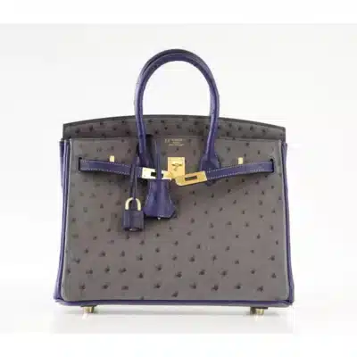 Hermès HSS Birkin 25 Gris Agate and Blue Sapphire Ostrich Brushed Gold Hardware