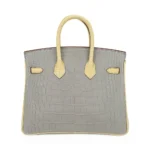 Hermès HSS Birkin 25 Gris Perle and Vanille Matte Alligator Mississippiensis Rose Gold Hardware