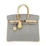 Hermès HSS Birkin 25 Gris Perle and Vanille Matte Alligator Mississippiensis Rose Gold Hardware