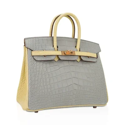 Hermès HSS Birkin 25 Gris Perle and Vanille Matte Alligator Mississippiensis Rose Gold Hardware