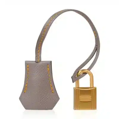 Hermès HSS Birkin 25 Jaune Ambre and Gris Asphalte Epsom Gold Hardware