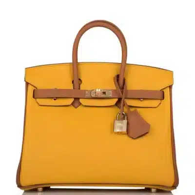 Hermès HSS Birkin 25 Jaune Ambre and Gold Togo Permabrass Hardware