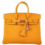 Hermès HSS Birkin 25 Jaune D'Or Epsom Gold Hardware