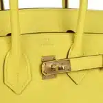 Hermès HSS Birkin 25 Lime Verso Clemence Rose Gold Hardware