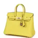 Hermès HSS Birkin 25 Lime Verso Clemence Rose Gold Hardware