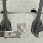 Hermès HSS Birkin 25 Pearl Grey and Graphite Ostrich Brushed Palladium Hardware