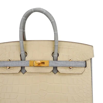 Hermès HSS Birkin 25 Vanille and Gris Pearl Matte Alligator Mississippiensis Brushed Gold Hardware