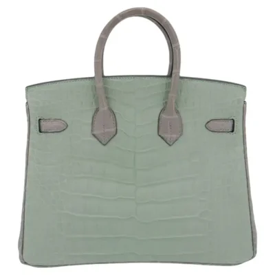 Hermès HSS Birkin 25 Vert D'eau And Gris Perle Matte Alligator Mississippiensis Brushed Gold Hardware