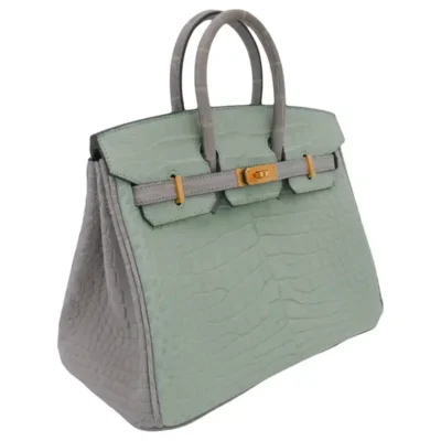 Hermès HSS Birkin 25 Vert D'eau And Gris Perle Matte Alligator Mississippiensis Brushed Gold Hardware