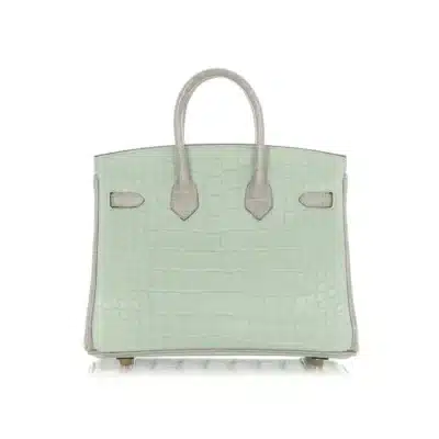 Hermès HSS Birkin 25 Vert D'Eau and Gris Perle Matte Alligator Mississippiensis Brushed Gold Hardware