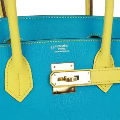 Hermès HSS Birkin 30 Bleu Turquoise and Lime Chevre logo