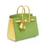 Hermès HSS Custom Birkin 25 Sellier Vert Criquet And Jaune Poussin Epsom Gold Hardware