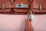 Hermès Limited Edition Birkin 25 Brique/Écru/Mauve Sylvestre/Terre Battue Swift & Toile Quadrille Palladium Hardware