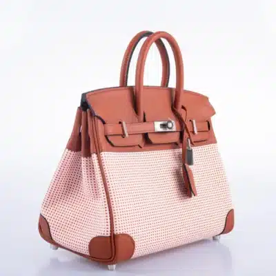 Hermès Limited Edition Birkin 25 Brique/Écru/Mauve Sylvestre/Terre Battue Swift & Toile Quadrille Palladium Hardware