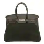 Hermès Limited Edition Birkin 35 Vert De Gris Swift, Suede, Velour, & Doblis Permabrass Hardware