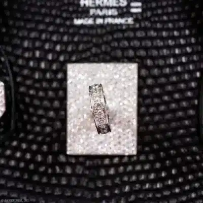 Hermès Rare Collectible Birkin 25 Black Salvator Lizard Jacob & Co. Diamond Encrusted 18k White Gold Hardware