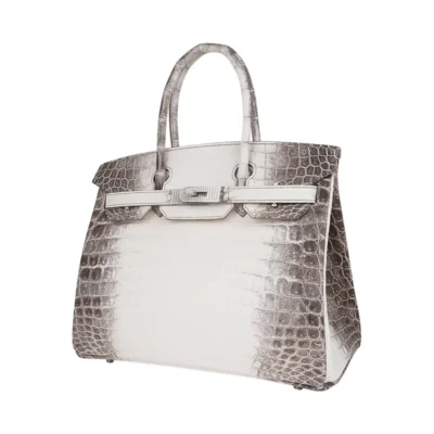 Hermès Rare Collectible Birkin 30 Blanc Himalaya Crocodile Diamond Encrusted 18k White Gold Hardware