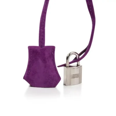 Hermès Rare Collectible Birkin 30 Violet Doblis Palladium Hardware