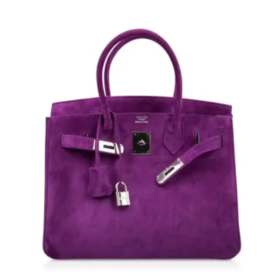 Hermès Rare Collectible Birkin 30 Violet Doblis Palladium Hardware